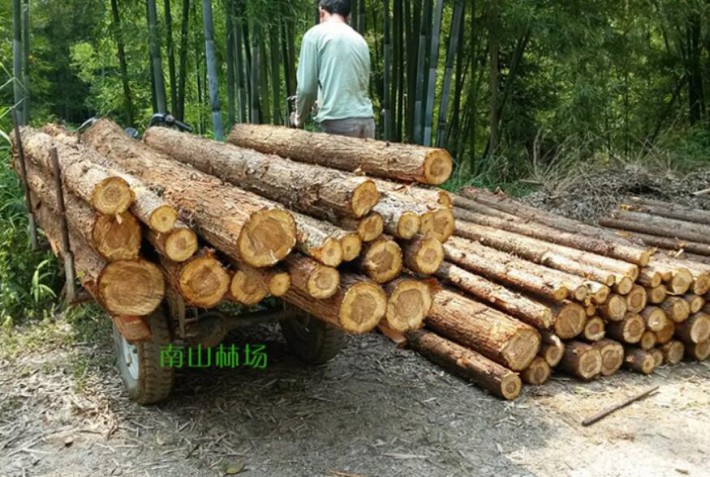 柳州沙塘镇开启木材行业安全生产专项整治