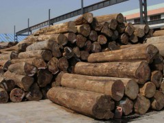 2018年第一季度欧盟木材进口遇瓶颈