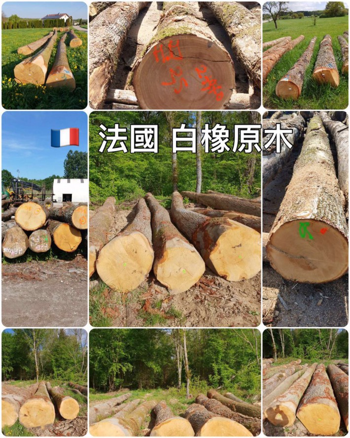台湾巧雅国际木业行嘉善联美贸易有限公司