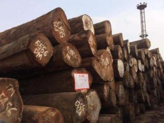 2017年加蓬木材产量同比增长10.1%