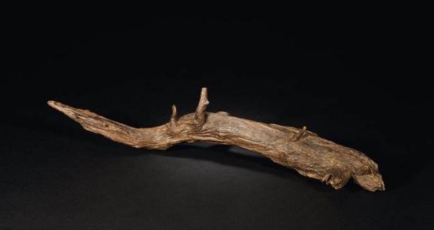 沉香木是所有能结香木材的总称