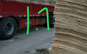徐州杨木三拼板皮图3