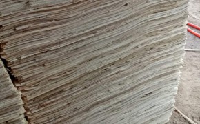 徐州杨木单板板皮图2