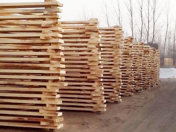 福清东张镇两家木材加工企业要求限期整改
