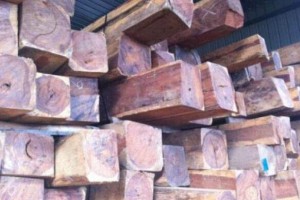 老挝阿速坡本月截获两起非法木材