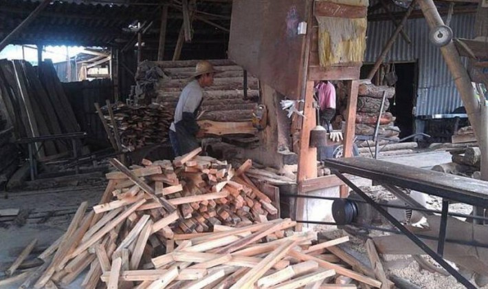 云南弥勒市全面清理整顿木材经营加工场
