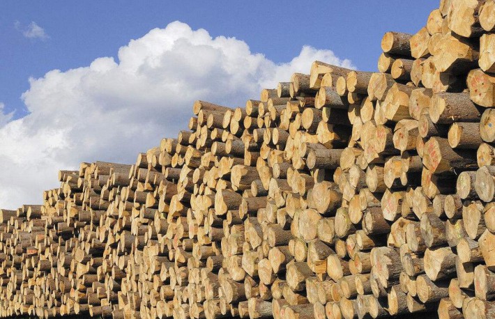 欧洲制材厂协会和欧洲木材贸易联合会预测欧洲的木材产量稳定