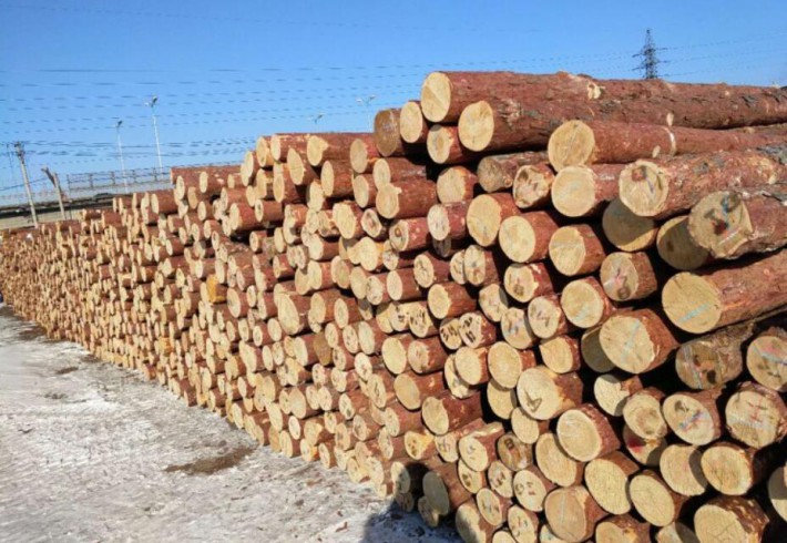 中俄木材贸易将深度合作 进入共享共赢新局面