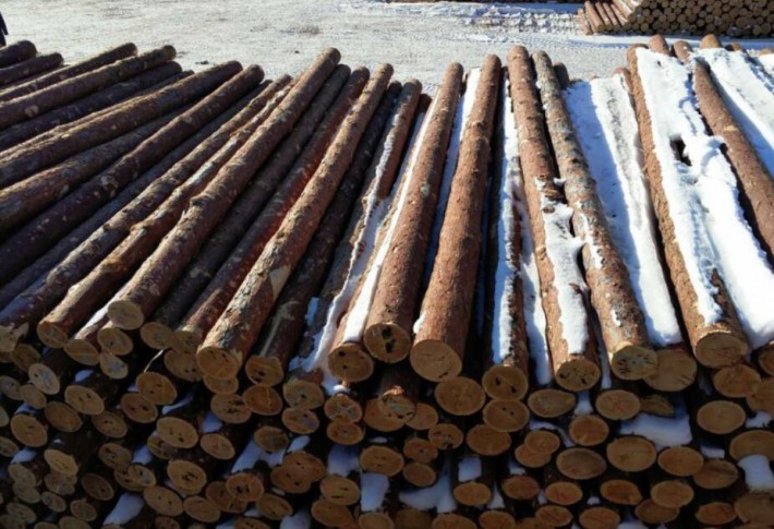 俄罗斯木材大量出口中国, 赚的盘满钵满, 如今却不高兴了