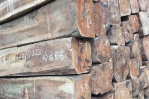老挝木材市场进入淡季 国内资源紧缺