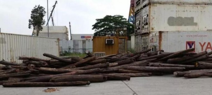 香港非法木材发贩运储存问题严重