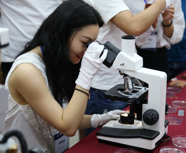中国红木商学院学员在显微镜观察木材细胞