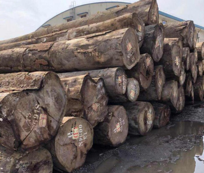 环保打击，张家港木材市场萧条！