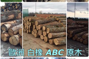 欧洲白橡木原木abc现货厂家直供
