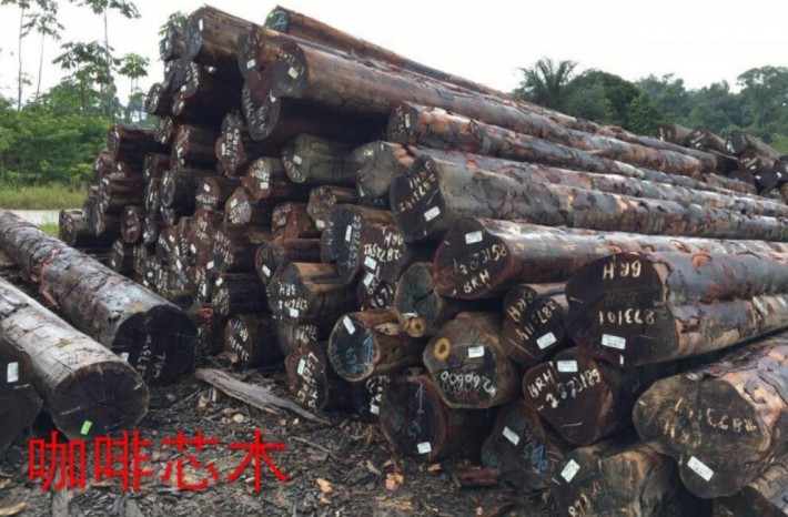 上半年镇江港木材进口达101万吨