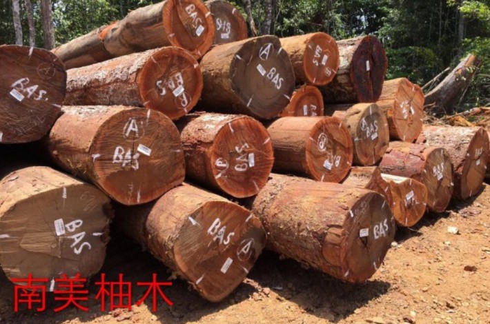 广西灵山县大力发展木业推动经济发展