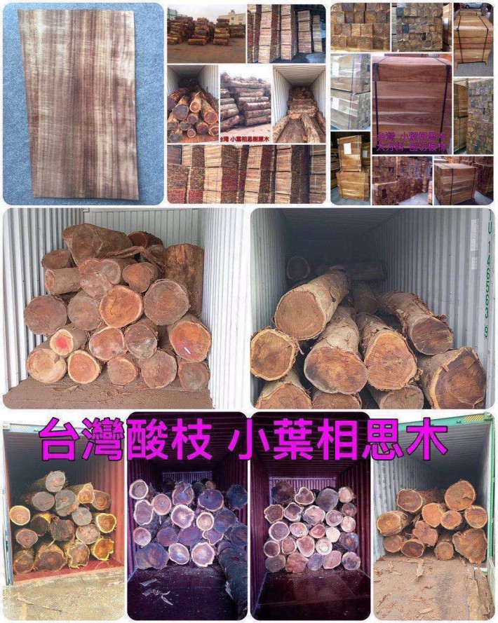 台湾小叶相思木原木，木板材家具料，刨切大方料，地板坯料，单板，薄片