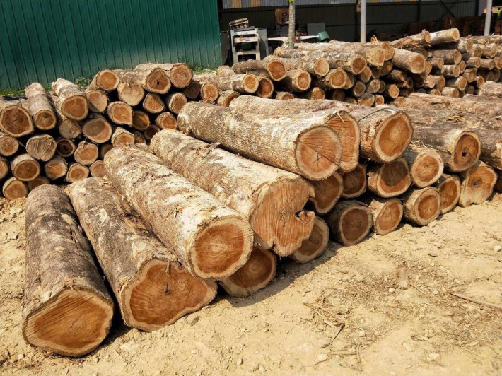“清江”攻坚战，木材加工业被重点提及！