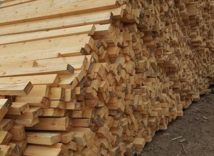 俄罗斯网络疯狂谣传中国木材商破坏俄罗斯林业！