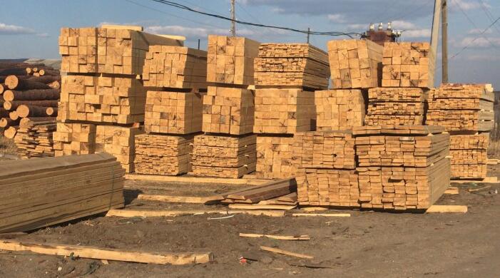 中国在俄罗斯木材出口中仅占比39%