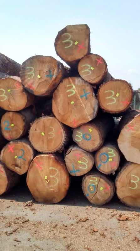 欧洲白橡木原木批发，还有产地：中南美材、欧洲材、北美材、非洲材