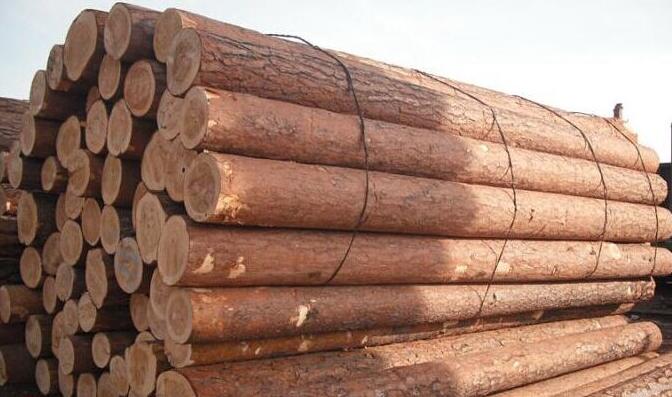 俄罗斯欲提升木材工业价值链