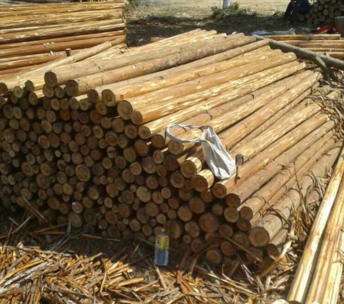 贵阳市生态文明委开展2018年度下半年木材流通领域夜间执法专项行动