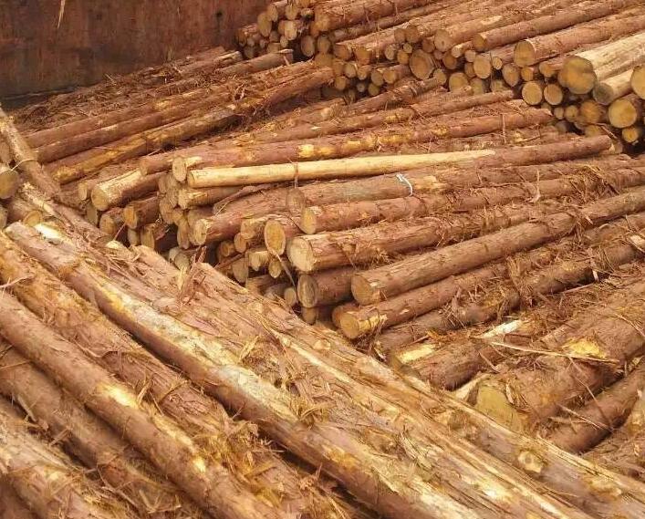 日本制定战略扩大木材与木材产品出口
