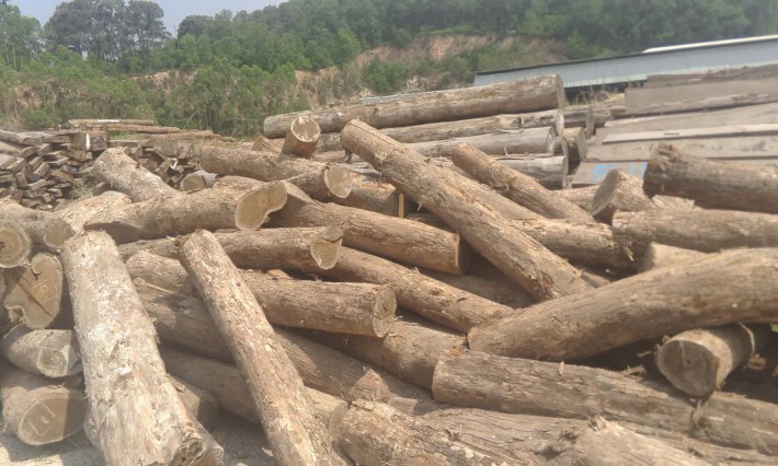 绥芬河打造出口木制品加工园区