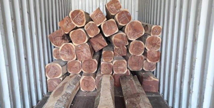 墨西哥红檀香木材材质