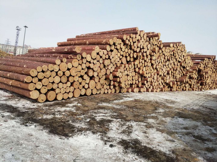 绥芬河中俄木材加工交易中心项目签约