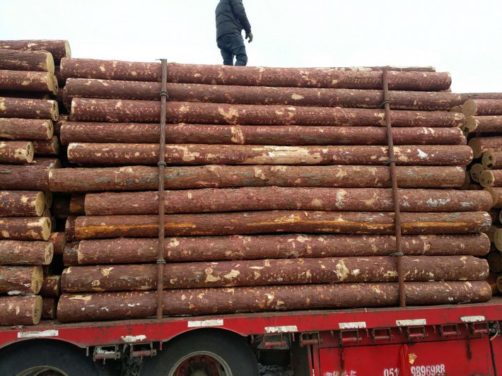 绥芬河目前约有500余家大小 木材企业