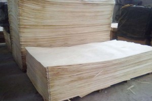 白杨木刨切单板木皮