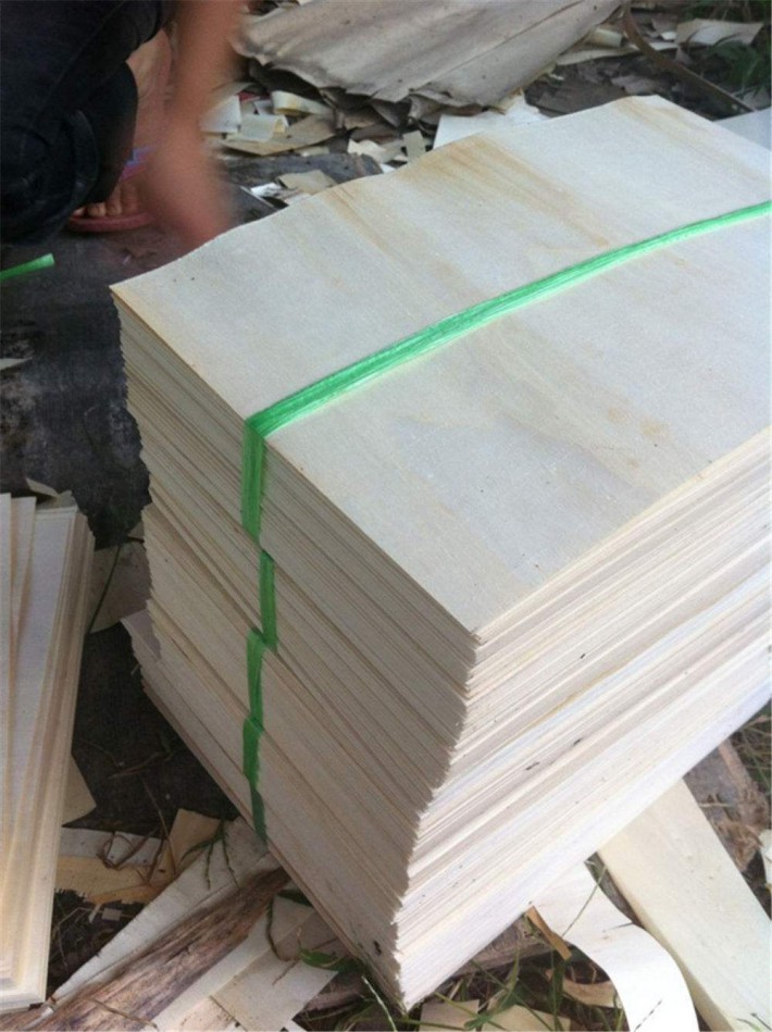 白杨木刨切单板木皮出材率会受到哪几个因素的影响？