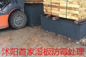 泗阳木材加工厂家直销杨木板枋材