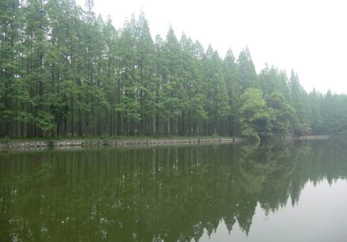 国家储备林基地建设项目管理培训班在贵州举办
