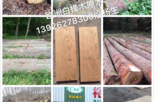 歐洲白橡木原木产品图3