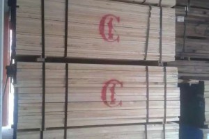 广东进口北美硬枫木板材1.8~4.8米长1~2寸厚图3