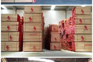 广东进口欧洲榉木板材0.30M~3.60M米长图2