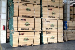 广东进口北美硬枫木板材1.8~4.8米长1~2寸厚产品图2