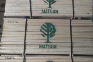 广东进口北美硬枫木板材1.8~4.8米长1~2寸厚产品图3