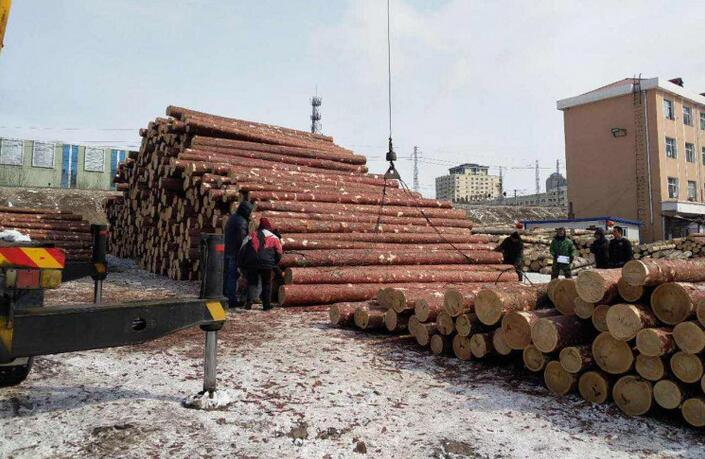 上半年俄罗斯布拉戈申维斯克关区木材出口22.02万立方