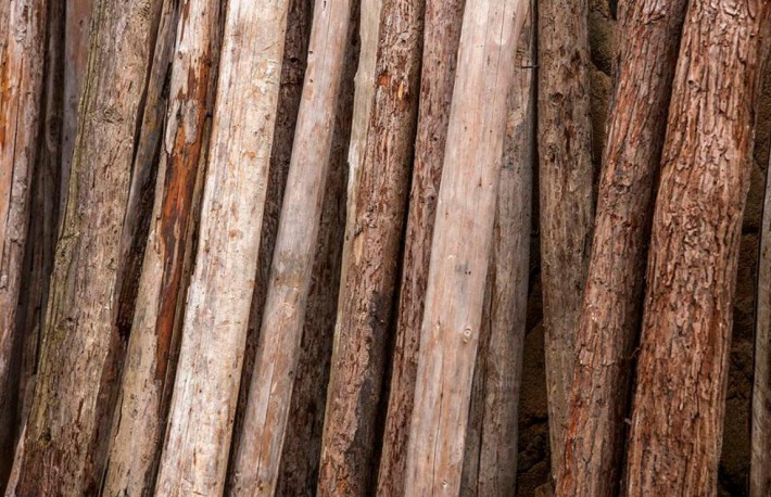 漳州市林业局严厉打击木材运输违法行为