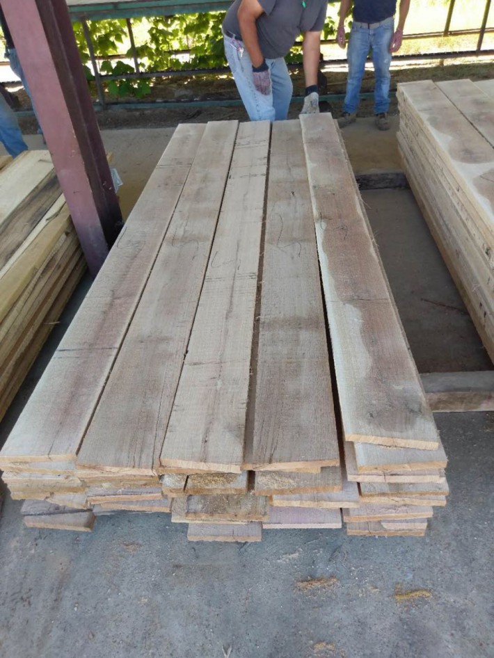 以“锯材加工带动进口木材贸易