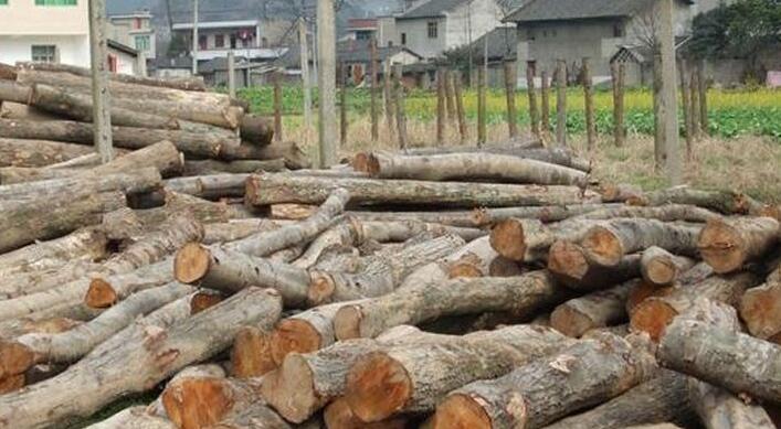 3.6万平米武汉大花岭木材市场基本完成拆除