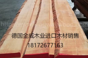 进口欧洲 榉木木板 实木 毛边板 家具板 地板 木材