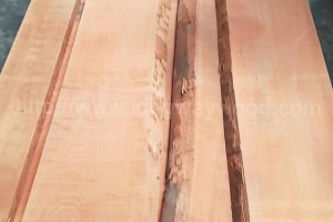 进口欧洲 榉木木板 实木 毛边板 家具板 地板 木材图2