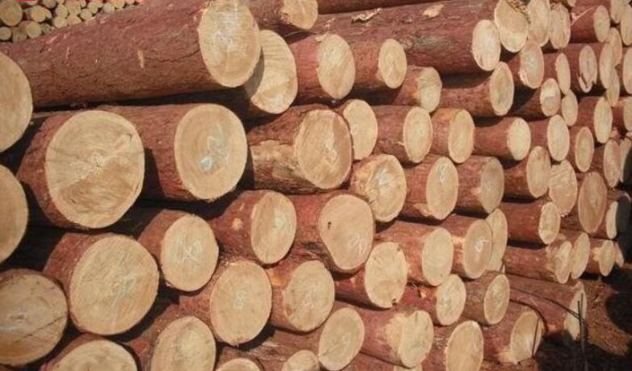 木材 进口自乌克兰