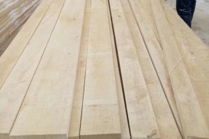 桦木板材料_北欧林业