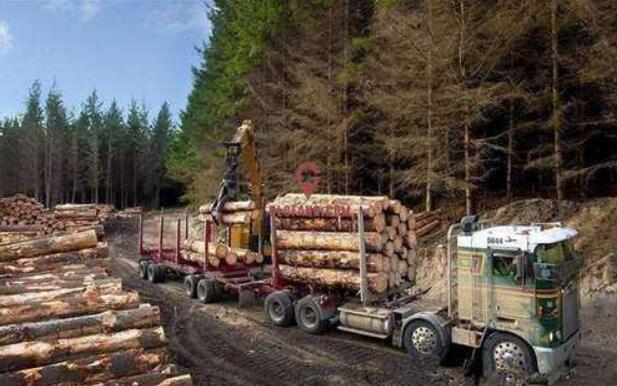 8月新西兰原木出口价格大幅下跌